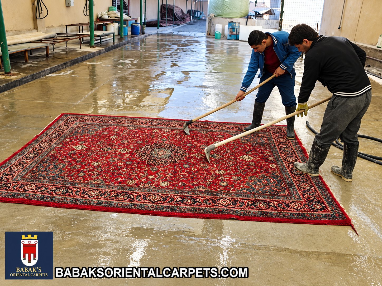Carpet cleaning in progress at Babak's